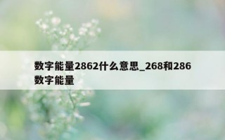 数字能量 2862 什么意思_268 和 286 数字能量