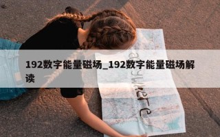 192 数字能量磁场_192 数字能量磁场解读