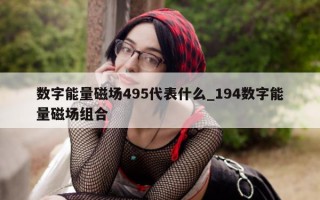 数字能量磁场495代表什么_194数字能量磁场组合