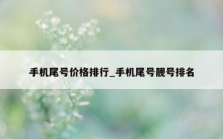 手机尾号价格排行_手机尾号靓号排名