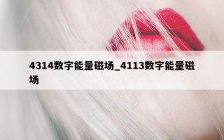 4314 数字能量磁场_4113 数字能量磁场