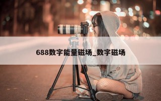 688 数字能量磁场_数字磁场