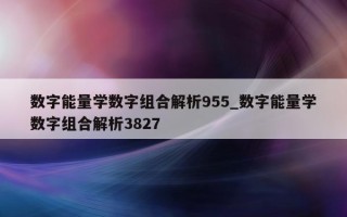 数字能量学数字组合解析 955_数字能量学数字组合解析 3827