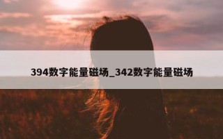 394 数字能量磁场_342 数字能量磁场