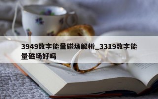 3949 数字能量磁场解析_3319 数字能量磁场好吗