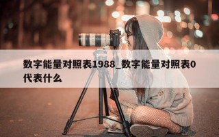 数字能量对照表 1988_数字能量对照表 0 代表什么