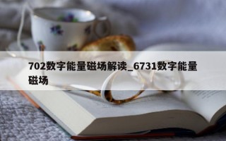 702 数字能量磁场解读_6731 数字能量磁场