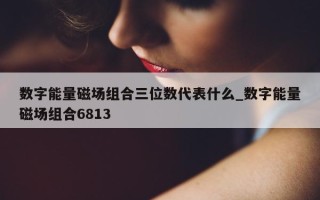 数字能量磁场组合三位数代表什么_数字能量磁场组合 6813