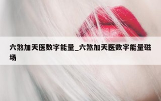 六煞加天医数字能量_六煞加天医数字能量磁场