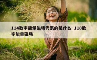 114 数字能量磁场代表的是什么_118 数字能量磁场