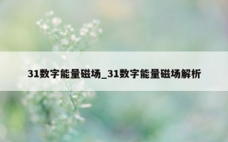 31 数字能量磁场_31 数字能量磁场解析