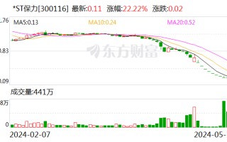 *ST 保力：深交所决定终止公司股票上市交易