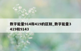 数字能量 914 和 419 的区别_数字能量 3419 和 9143