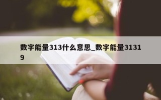 数字能量 313 什么意思_数字能量 31319