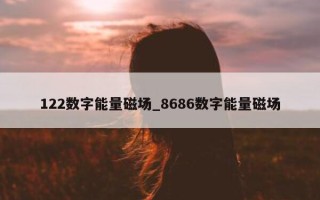 122 数字能量磁场_8686 数字能量磁场