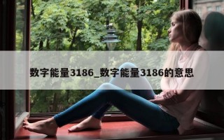 数字能量 3186_数字能量 3186 的意思