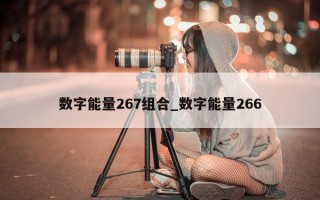 数字能量267组合_数字能量266