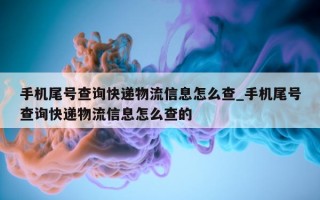 手机尾号查询快递物流信息怎么查_手机尾号查询快递物流信息怎么查的