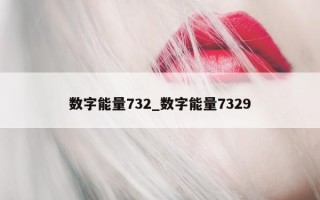 数字能量 732_数字能量 7329