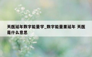 天医延年数字能量学_数字能量里延年 天医是什么意思