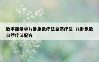 数字能量学八卦象数疗法自然疗法_八卦象数自然疗法配方