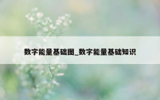 数字能量基础图_数字能量基础知识