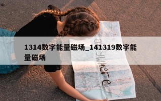 1314 数字能量磁场_141319 数字能量磁场