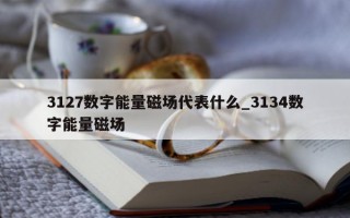 3127 数字能量磁场代表什么_3134 数字能量磁场