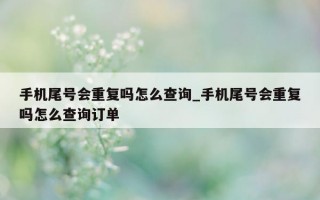 手机尾号会重复吗怎么查询_手机尾号会重复吗怎么查询订单