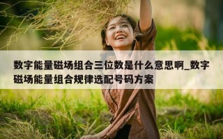 数字能量磁场组合三位数是什么意思啊_数字磁场能量组合规律选配号码方案