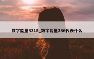 数字能量 3315_数字能量 336 代表什么