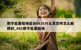 数字能量磁场组合 6831 什么意思呀怎么解释的_661 数字能量磁场