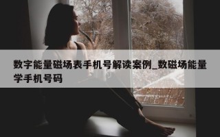 数字能量磁场表手机号解读案例_数磁场能量学手机号码