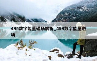 495 数字能量磁场解析_499 数字能量磁场