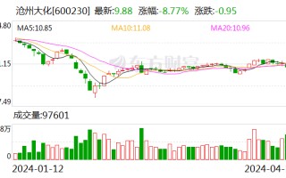 沧州大化：选举公司董事、总经理刘增为公司董事长