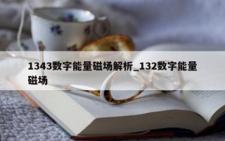 1343 数字能量磁场解析_132 数字能量磁场