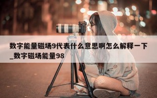 数字能量磁场 9 代表什么意思啊怎么解释一下_数字磁场能量 98