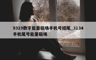 9319 数字能量磁场手机号结尾_3134 手机尾号能量磁场