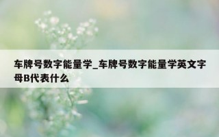 车牌号数字能量学_车牌号数字能量学英文字母 B 代表什么