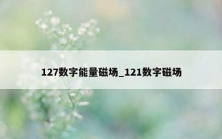 127 数字能量磁场_121 数字磁场