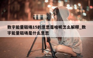 数字能量磁场 15 的意思是啥呢怎么解释_数字能量磁场是什么意思