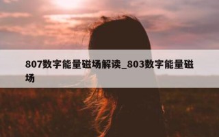 807 数字能量磁场解读_803 数字能量磁场