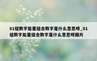 81 组数字能量组合数字是什么意思呀_81 组数字能量组合数字是什么意思呀图片