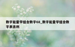 数字能量学组合数字 68_数字能量学组合数字表吉利