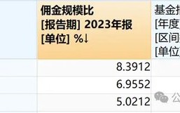 越努力、越“不幸”？微盘基金 2023“兴衰录”