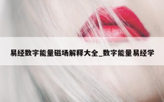 易经数字能量磁场解释大全_数字能量易经学