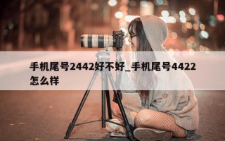 手机尾号2442好不好_手机尾号4422怎么样