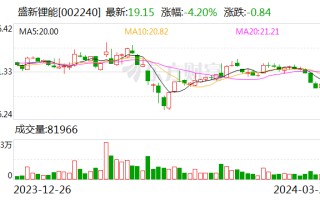 盛新锂能 2023 年业绩回落 将继续加大锂电领域投入