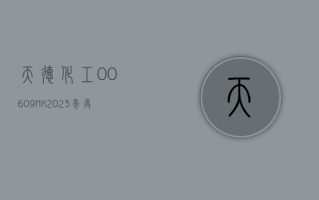 天德化工 (00609.HK)：2023 年度纯利下跌至 2.11 亿元