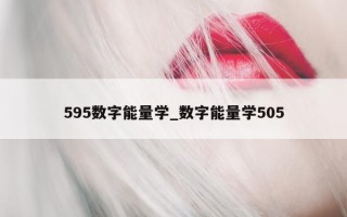 595 数字能量学_数字能量学 505